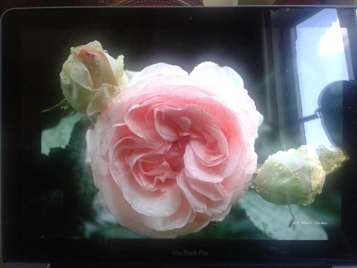 La Villa des Roses Durbuy Exterior foto