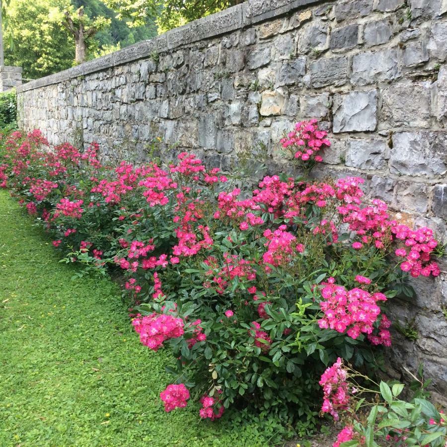 La Villa des Roses Durbuy Exterior foto
